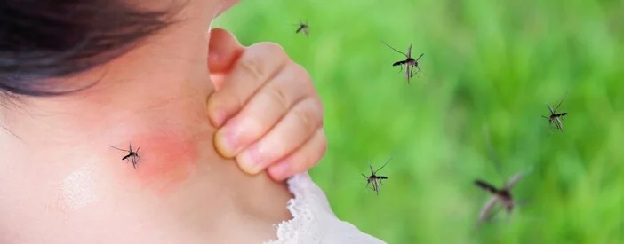Mamma protegge il neonato dalle zanzare con dispositivi antizanzare sicuri