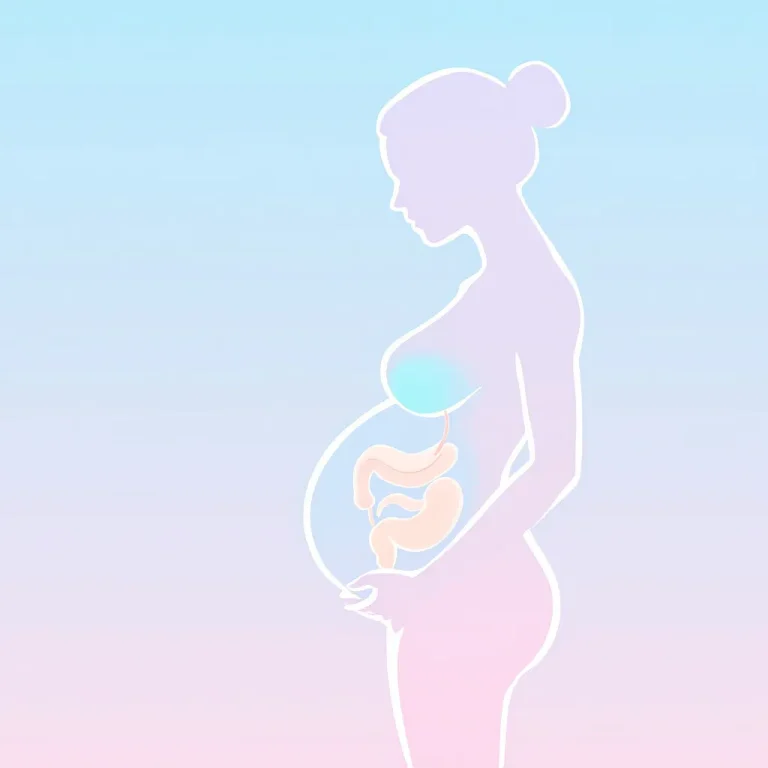Illustrazione medica diarrea in gravidanza sistema digestivo